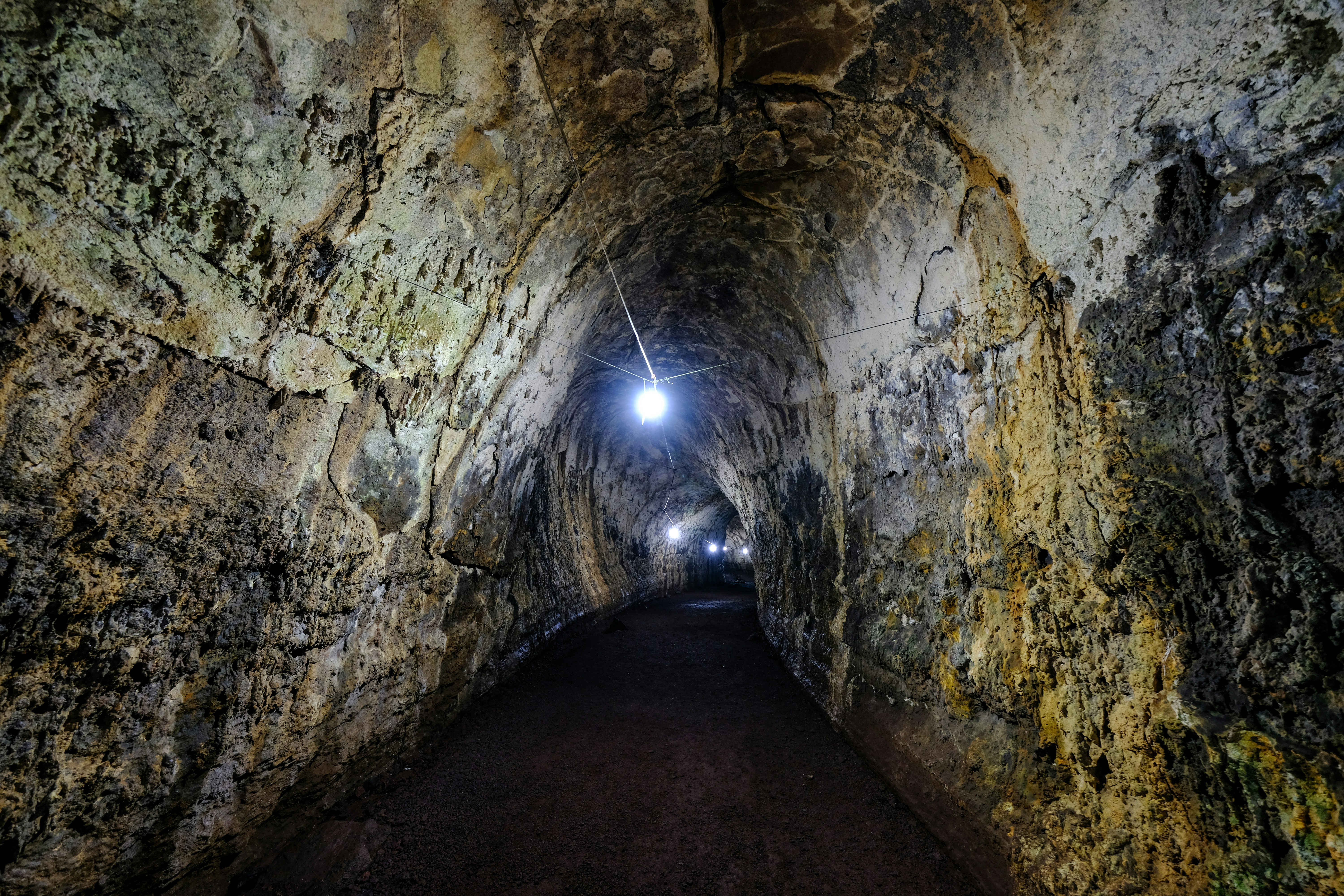 Photo by francesco_ungaro