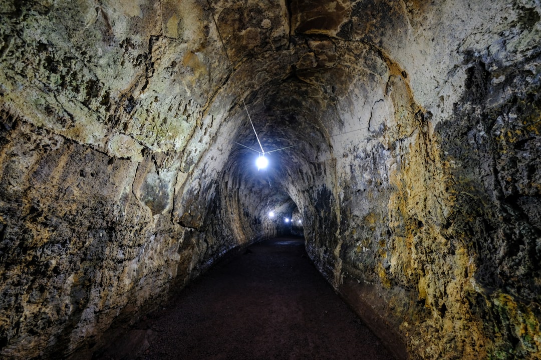 inside view showing lighted bulb