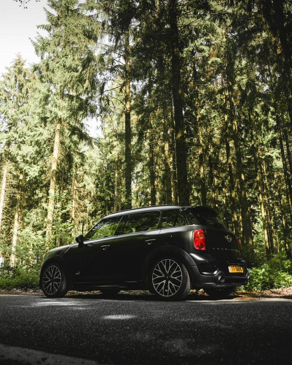 Hatchback negro de 5 puertas cerca de árboles de hojas verdes