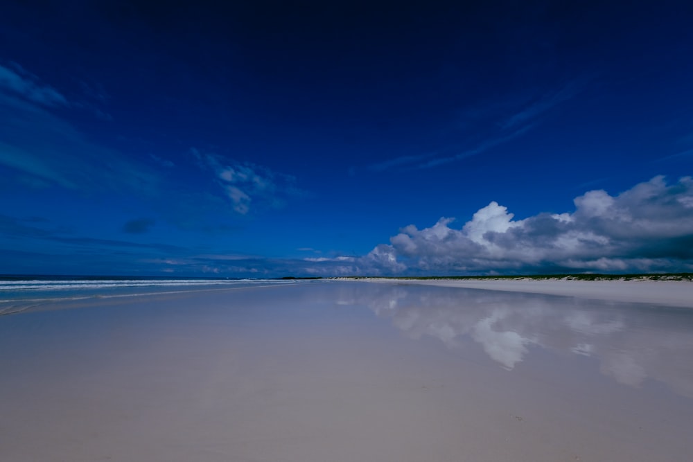 beach at daytime