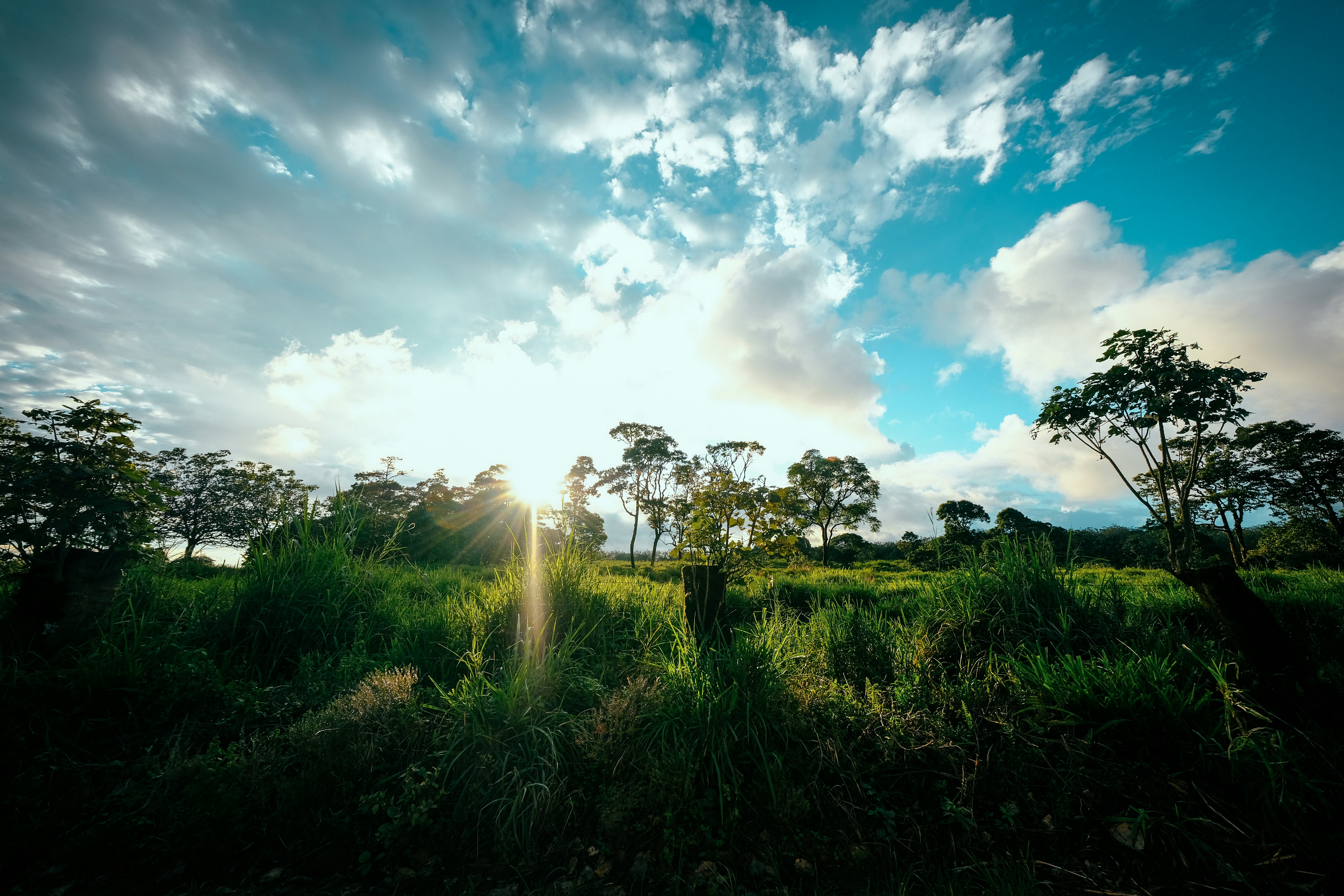 Photo by francesco_ungaro