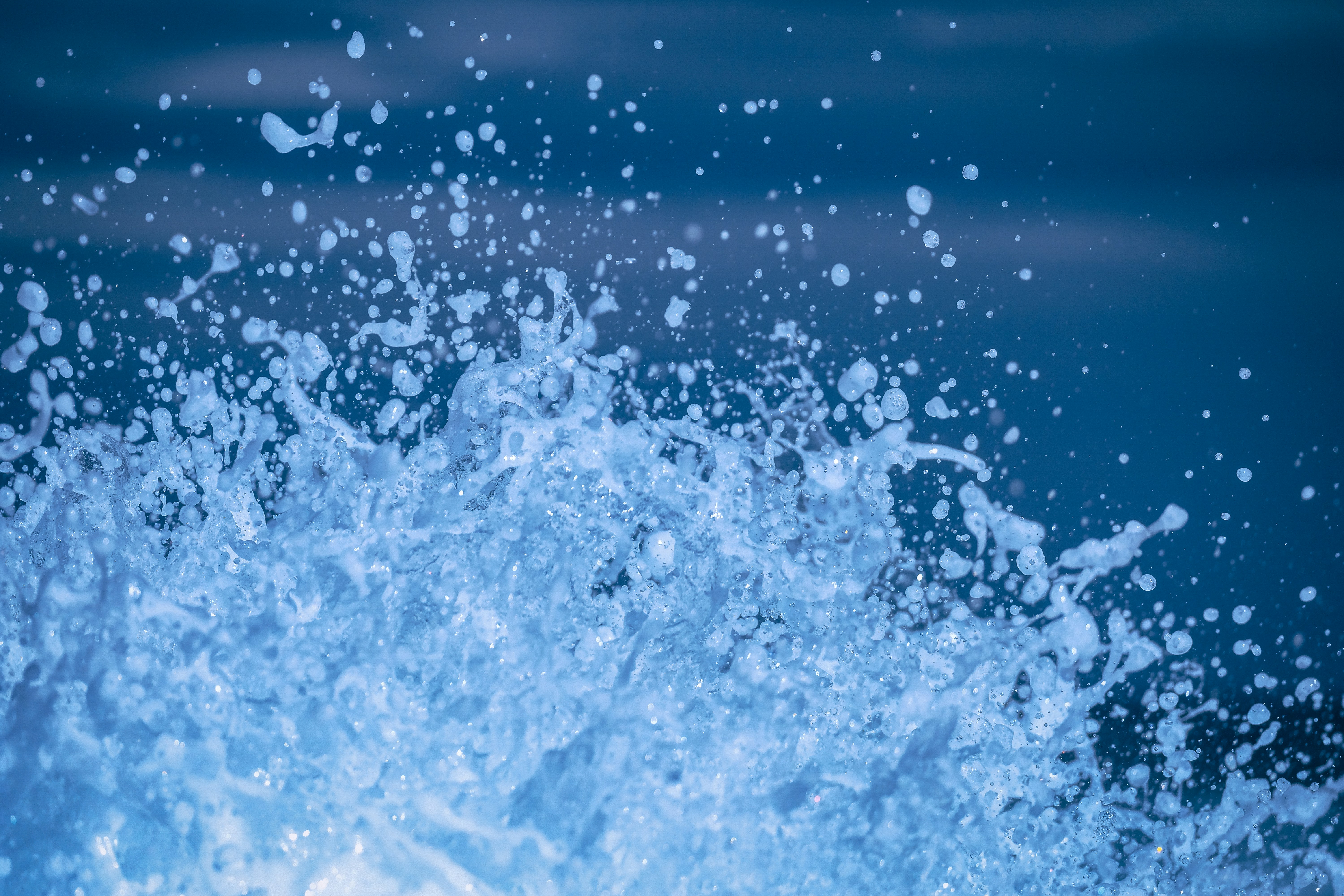 Photo by francesco_ungaro