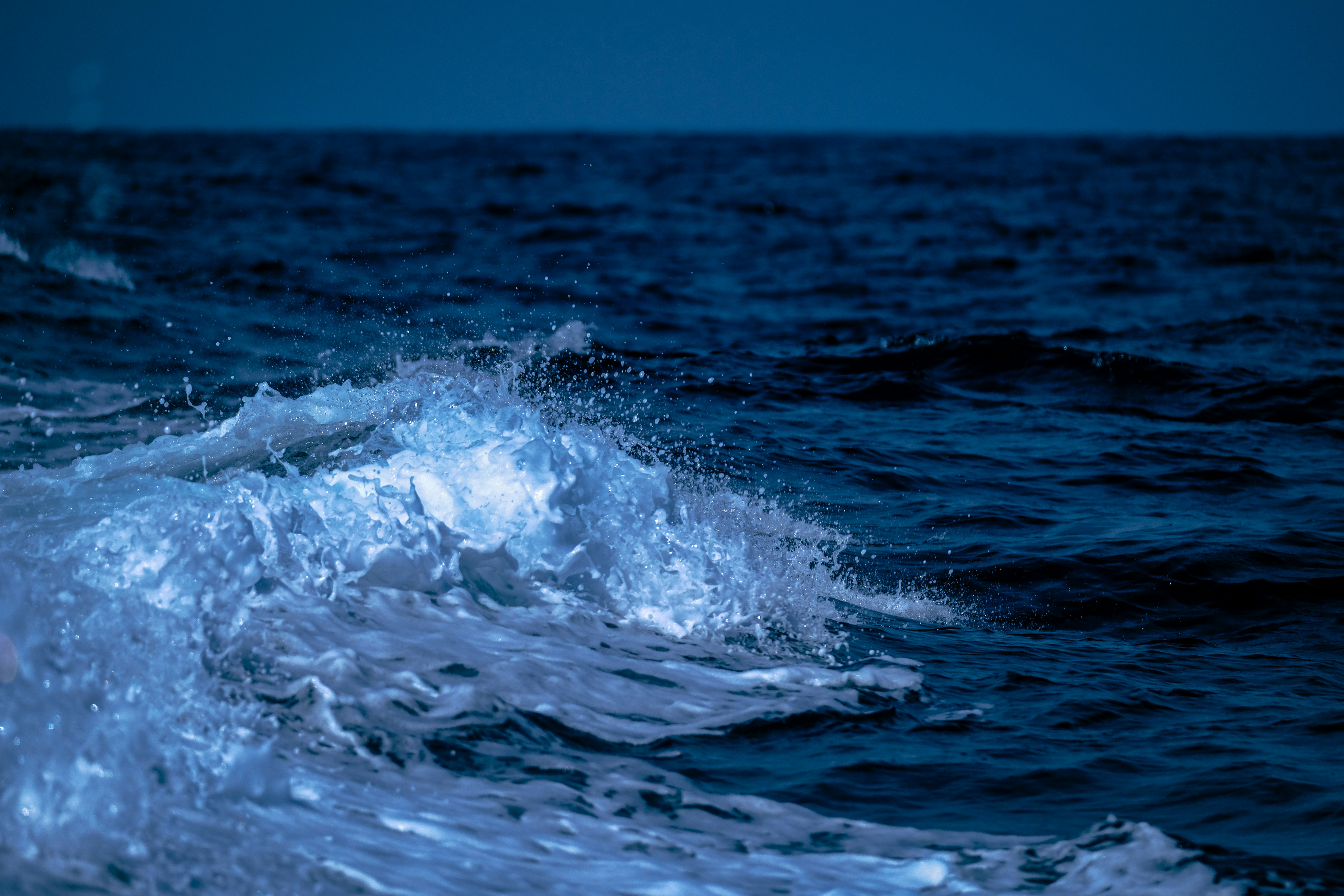 Photo by francesco_ungaro