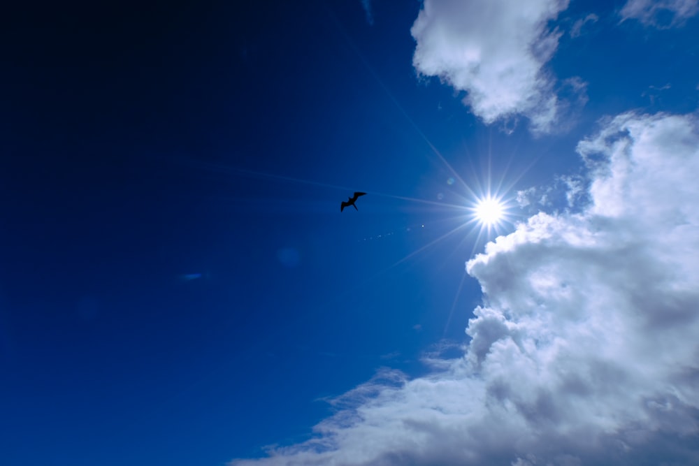 low-angle photography of blue sky and white clouds