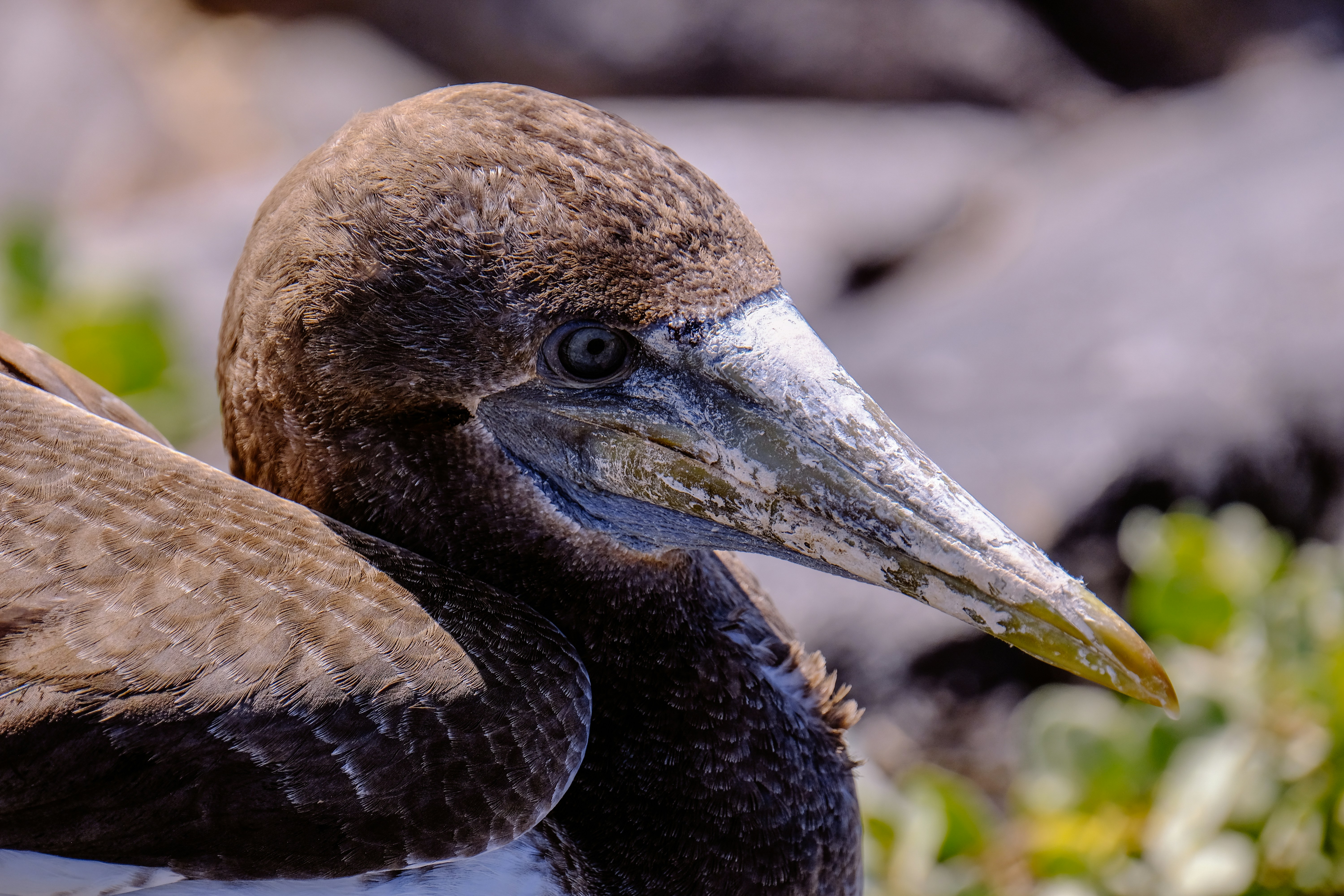 Photo by francesco_ungaro