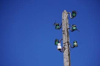 A tall wooden utility pole stands against a clear blue sky. The pole is equipped with several glass insulators and wires, which are arranged neatly in pairs along its length. The insulators are primarily green with one white insulator visible.