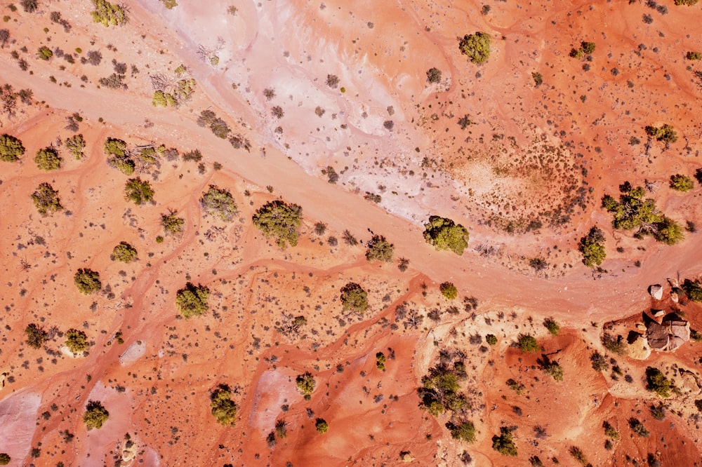 an aerial view of a dirt field with trees