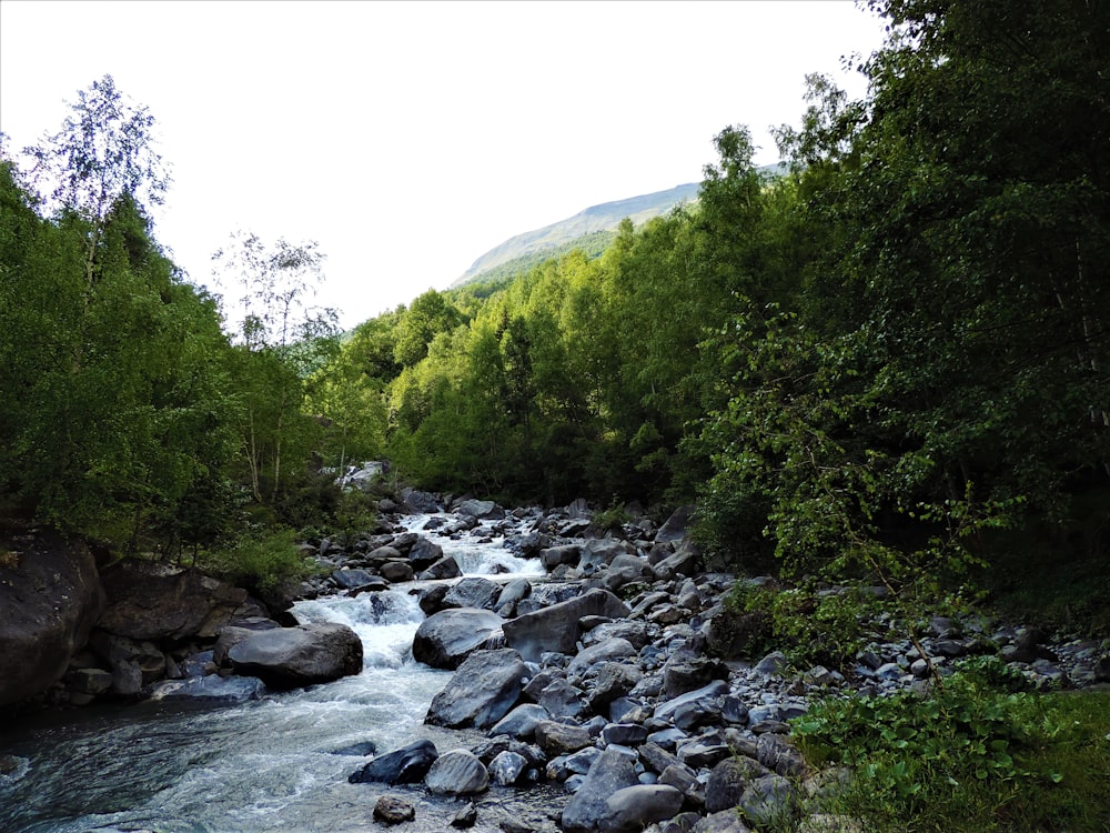 river during daytime