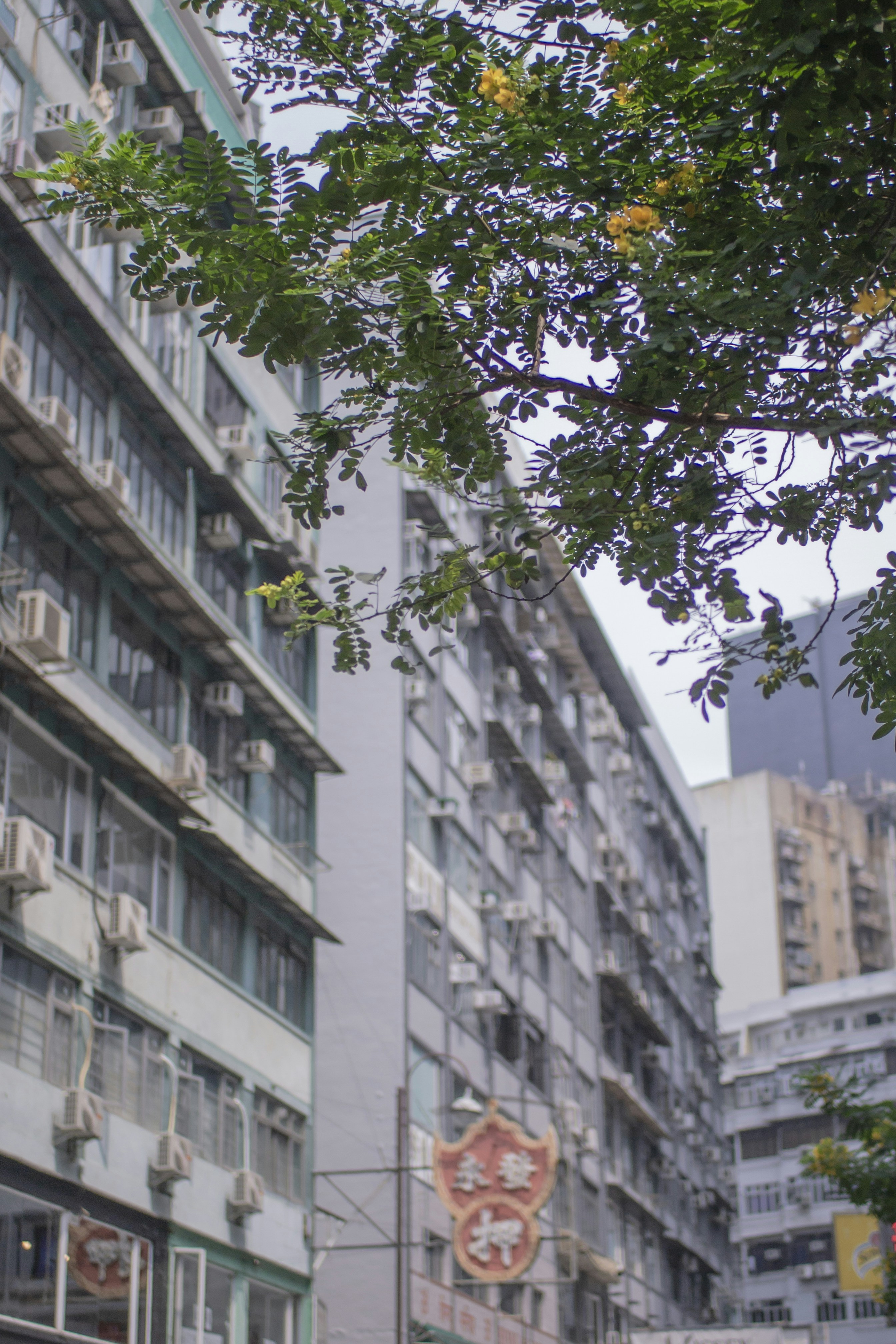 The 150 yuan price segment of Cantonese cuisine is broken and reborn, ushering in the moment of cost-effective breakthrough