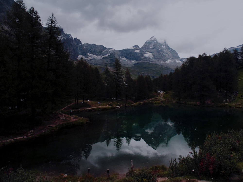 lake in forest