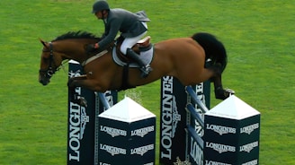 A horseback rider dressed in equestrian attire is leaping over a series of barriers labeled with 'LONGINES' in a grassy field. The horse is mid-air, demonstrating athleticism and agility as it clears the high jump with ease.