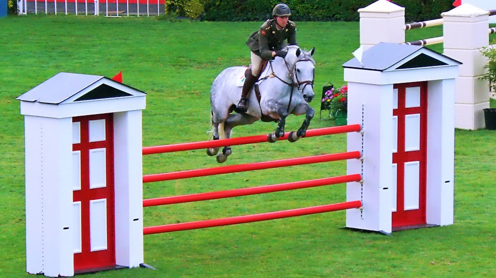 person ringing white horse during daytime