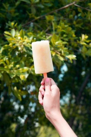 A hand is holding a light-colored popsicle against a background of green foliage. The popsicle is cylindrical and appears to be homemade, with a wooden stick. The sunlight creates a warm and inviting atmosphere.