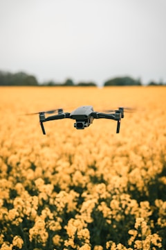 A drone hovers over a vast field of blooming yellow flowers, set against a muted sky. The focus is on the drone as it appears to glide effortlessly just above the flowers, suggesting a serene and picturesque aerial view.