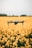 A drone hovers over a vast field of blooming yellow flowers, set against a muted sky. The focus is on the drone as it appears to glide effortlessly just above the flowers, suggesting a serene and picturesque aerial view.