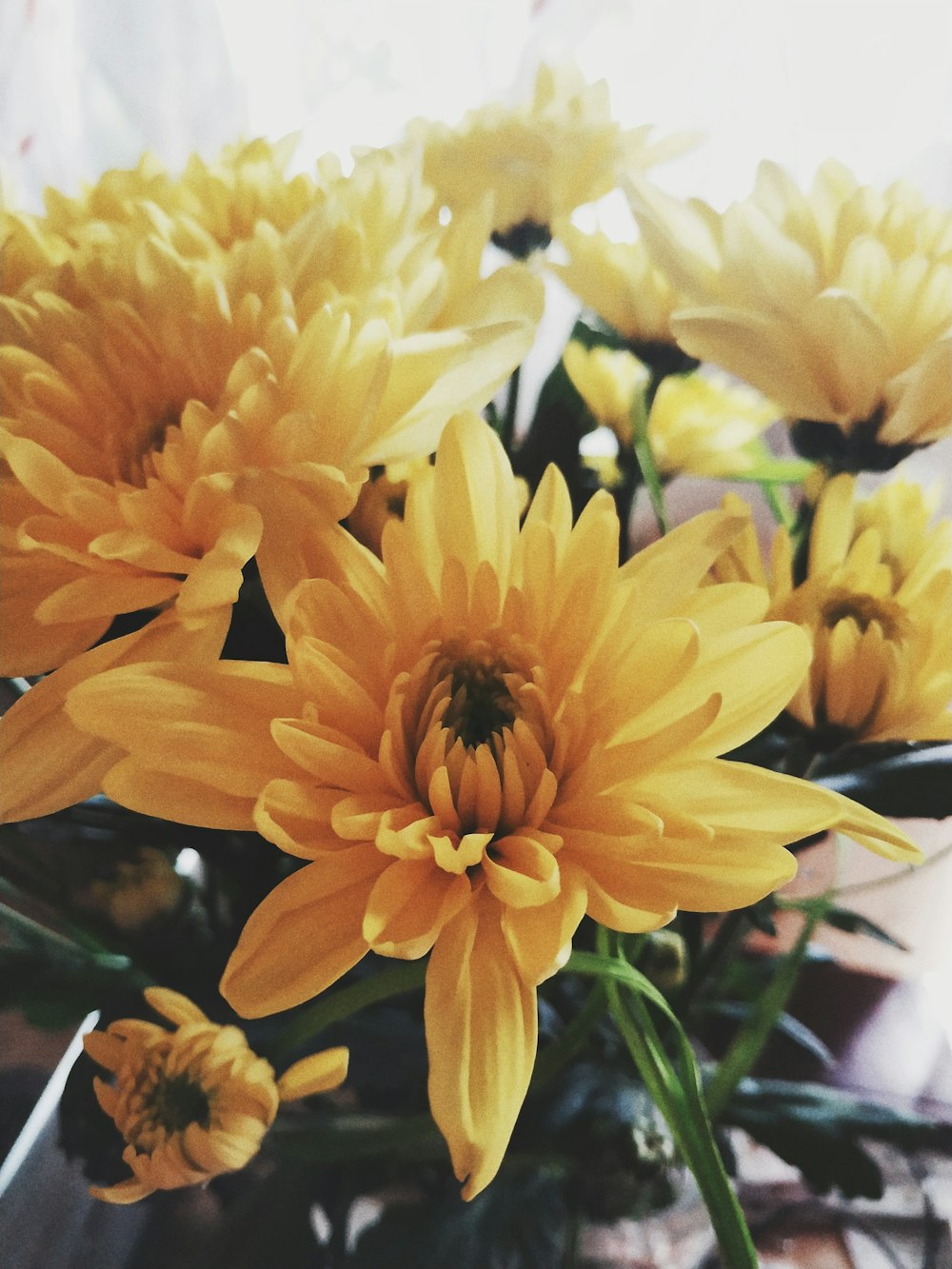 bunch of yellow flowers