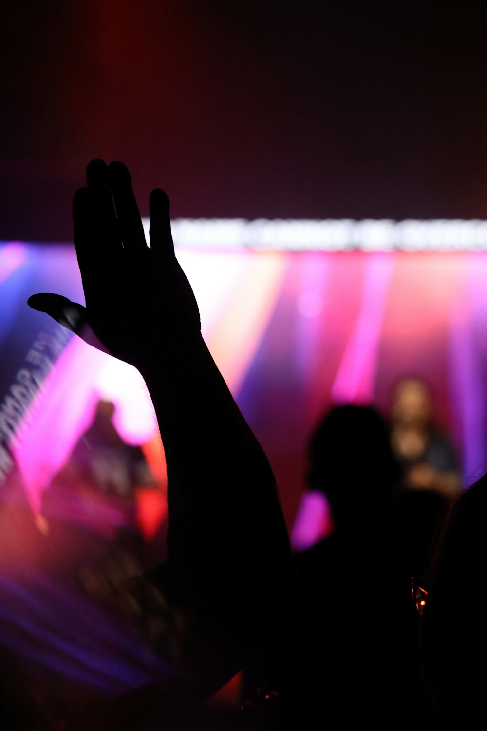 people watching live concert