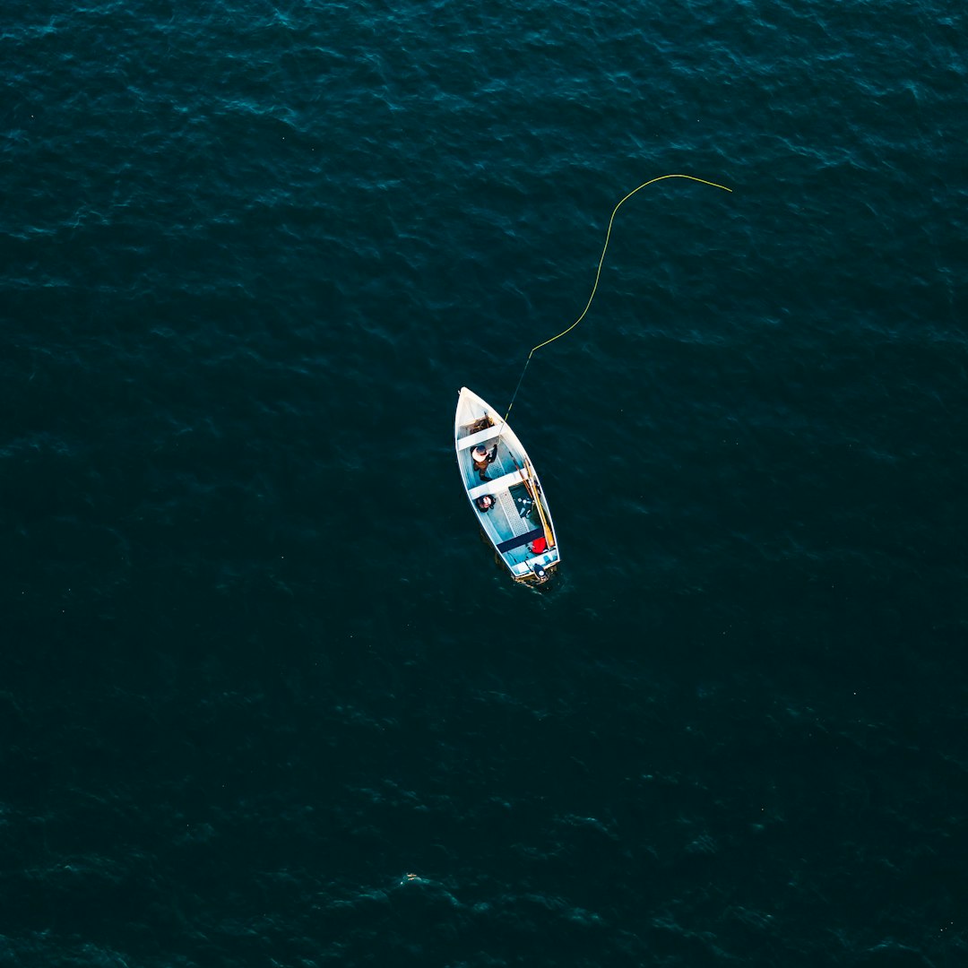 white and blue boat at sea