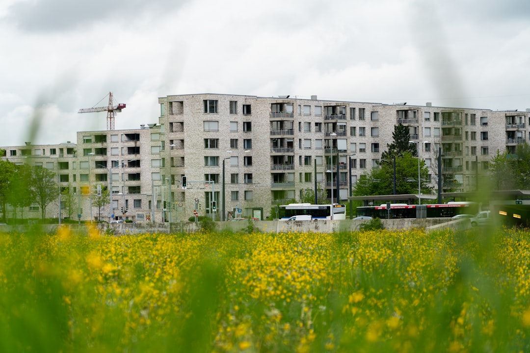 white concrete house near flower field