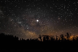 brown and black milky way