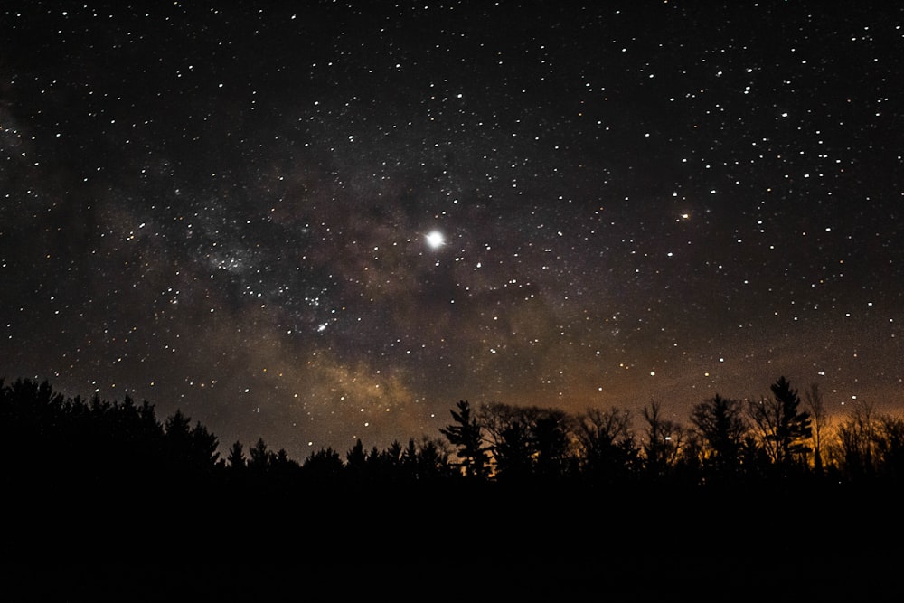 brown and black milky way