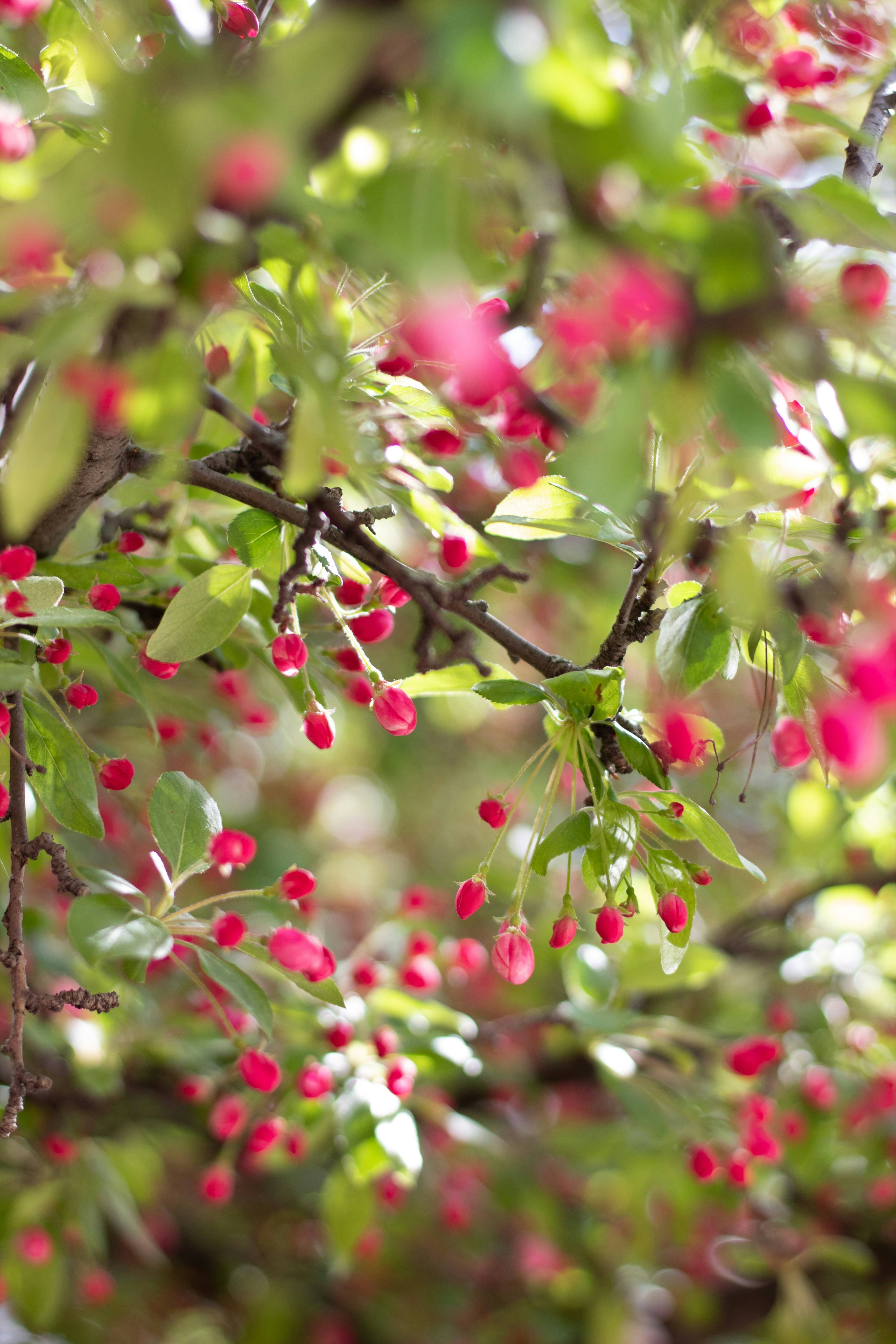 Photo by hayleymurrayphoto