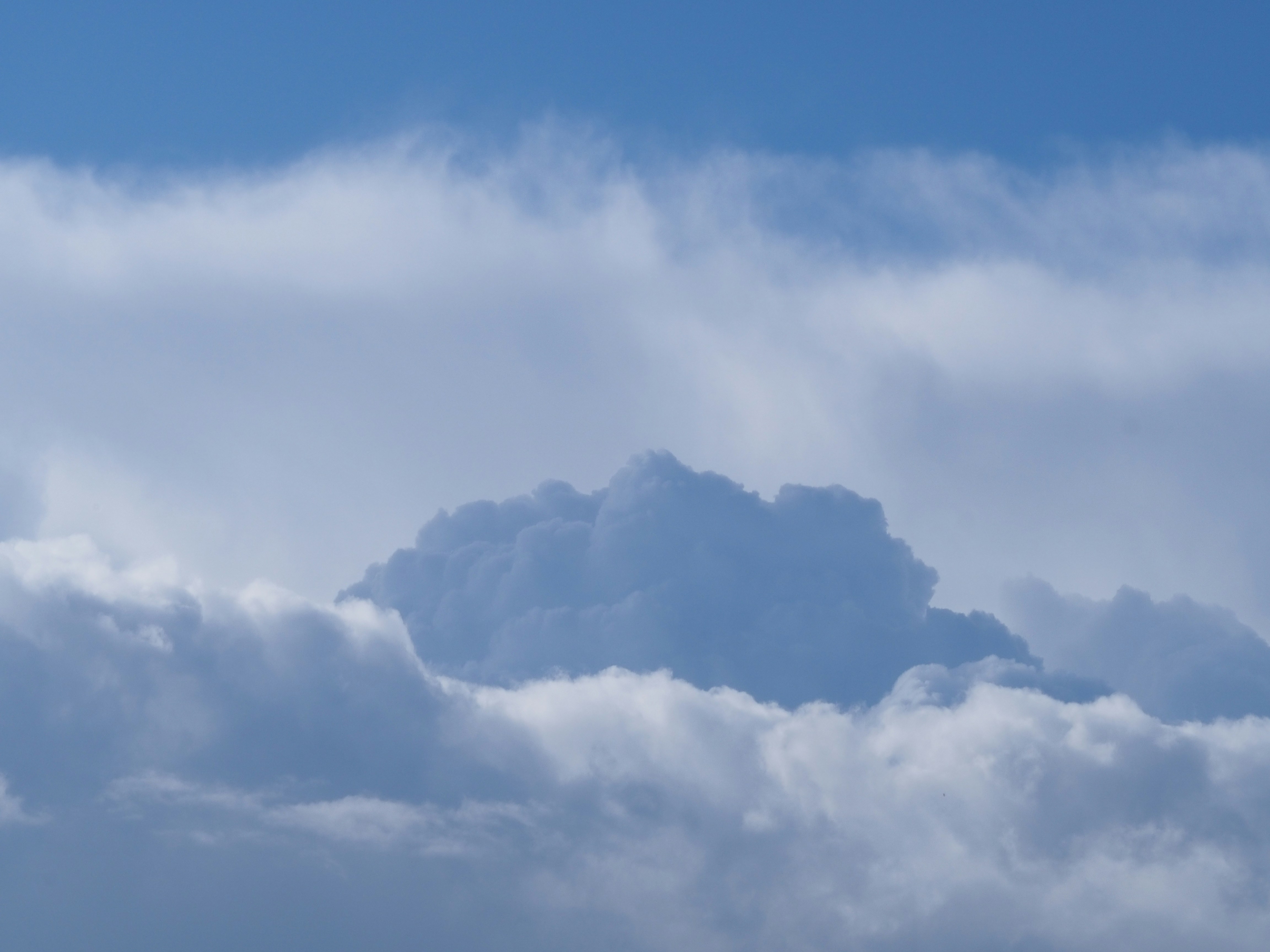 Photo by nimbus_vulpis