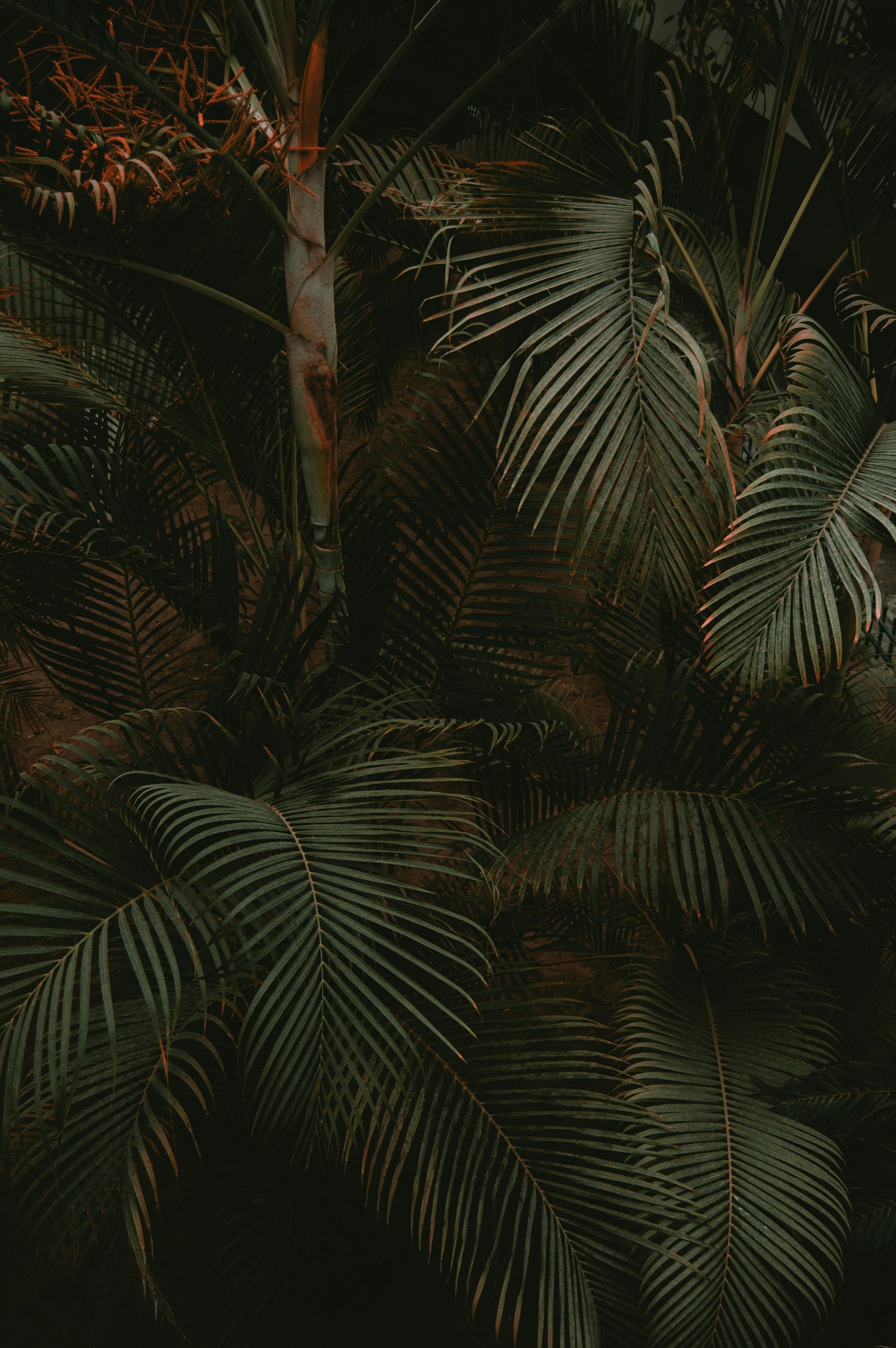 Photo by danramirez1998