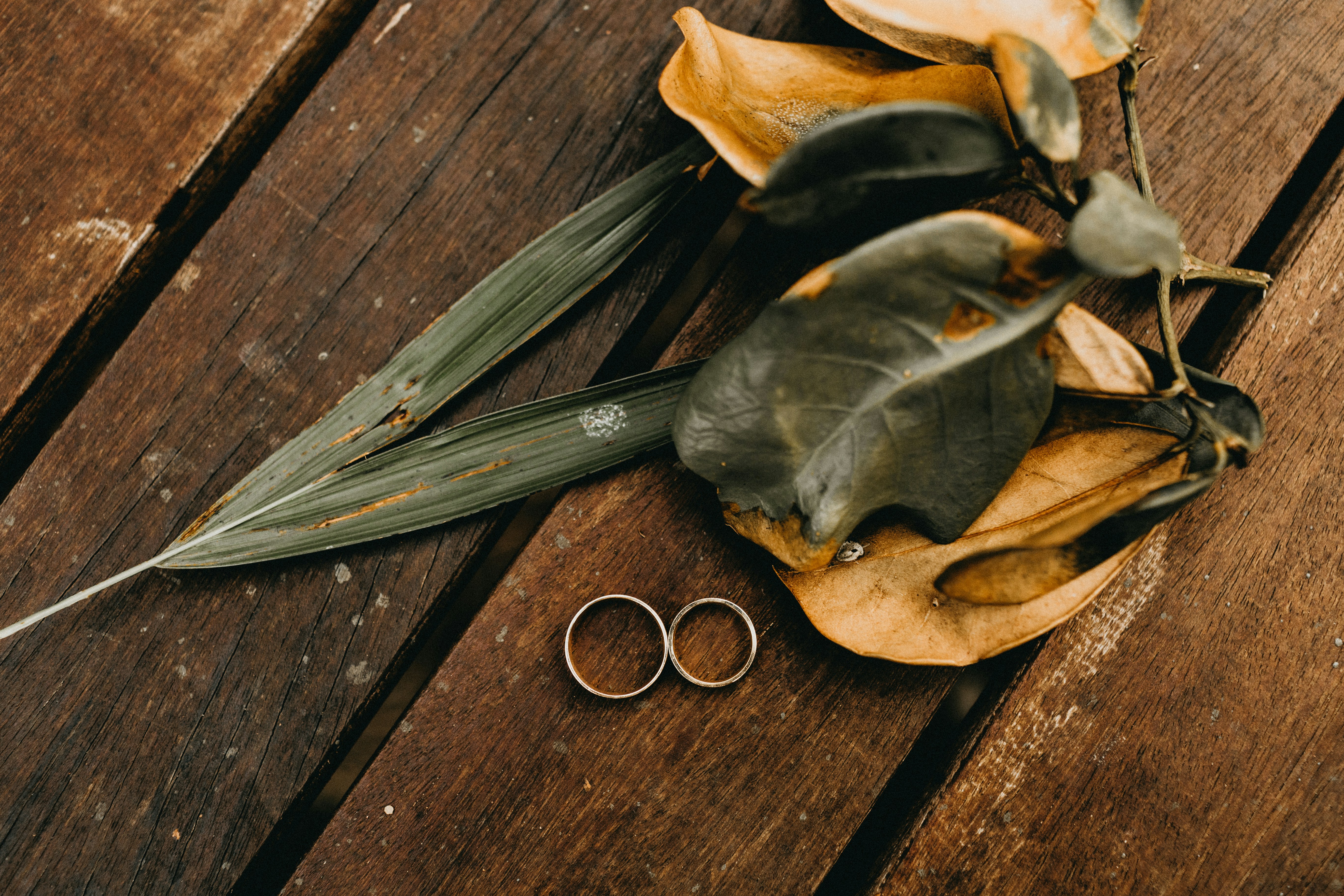 Photo by jonathanborba