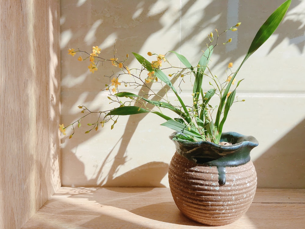 꽃병 클로즈업 사진에 노란 꽃잎 꽃