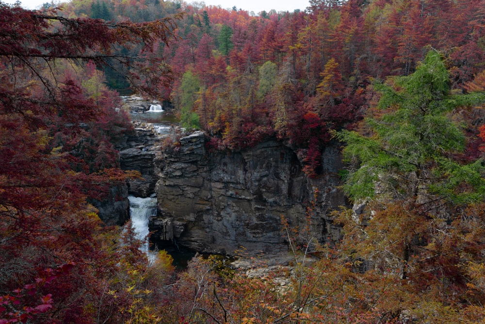 waterfall surrounded with trees at daytime