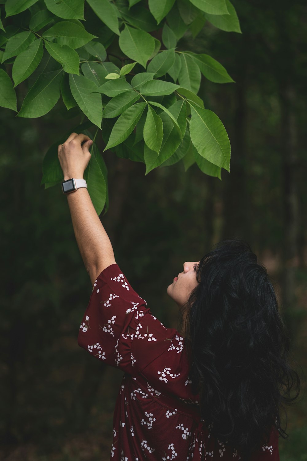 woman in maroon and white floral shirt reaching for tree leaves