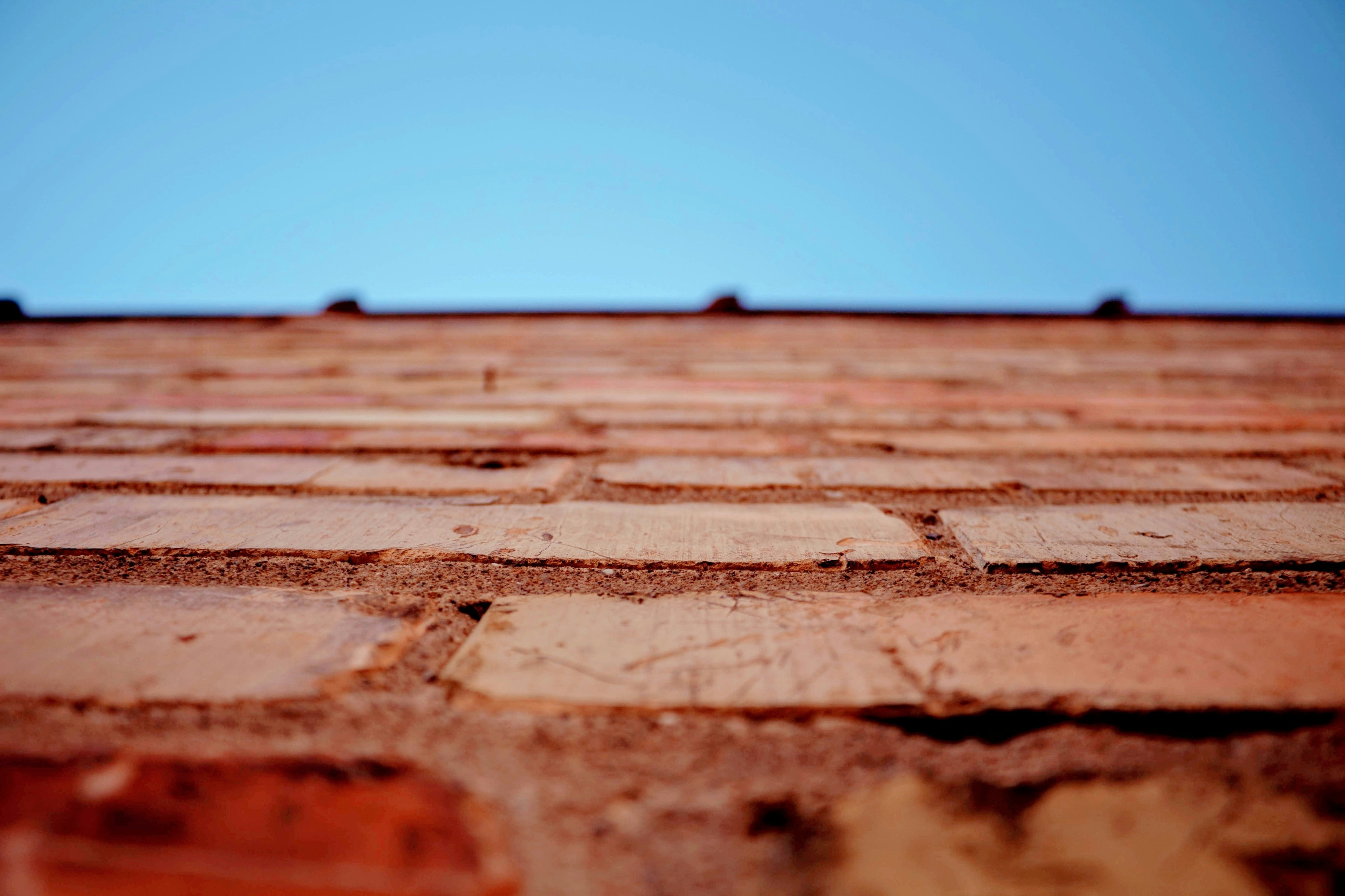 Photo by joshua_hoehne