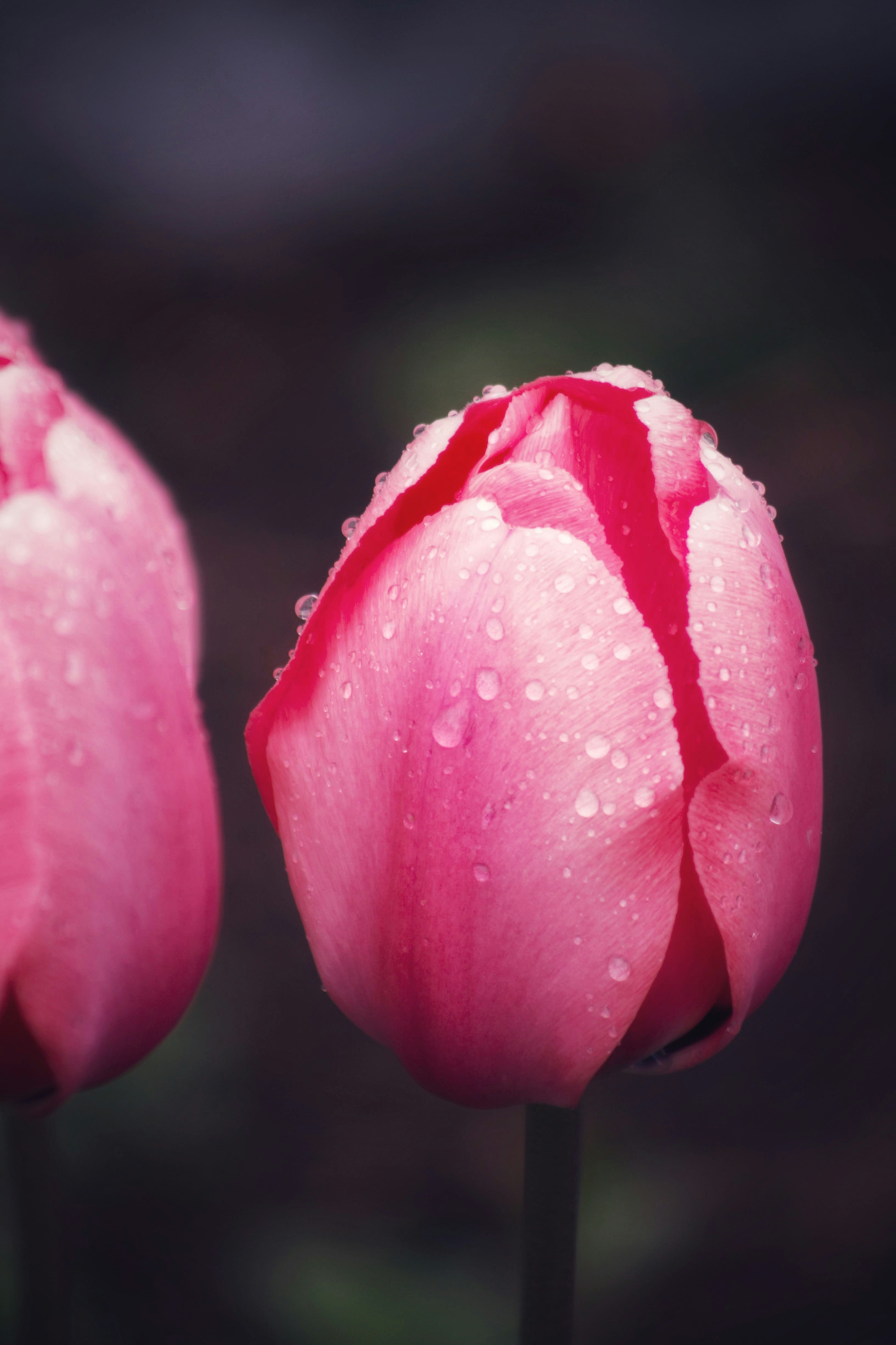 Photo by joshua_hoehne