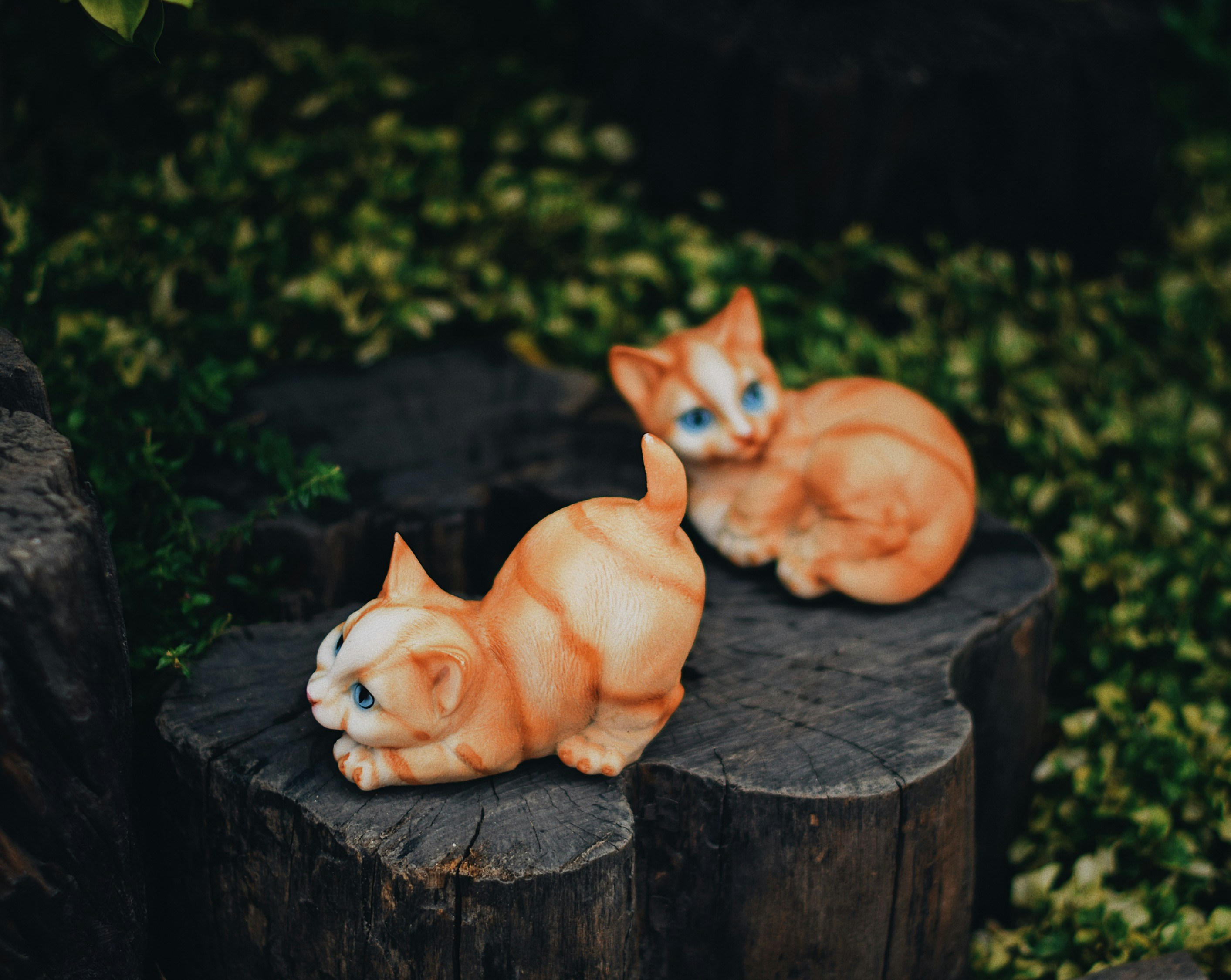 two orange cat figures on wood