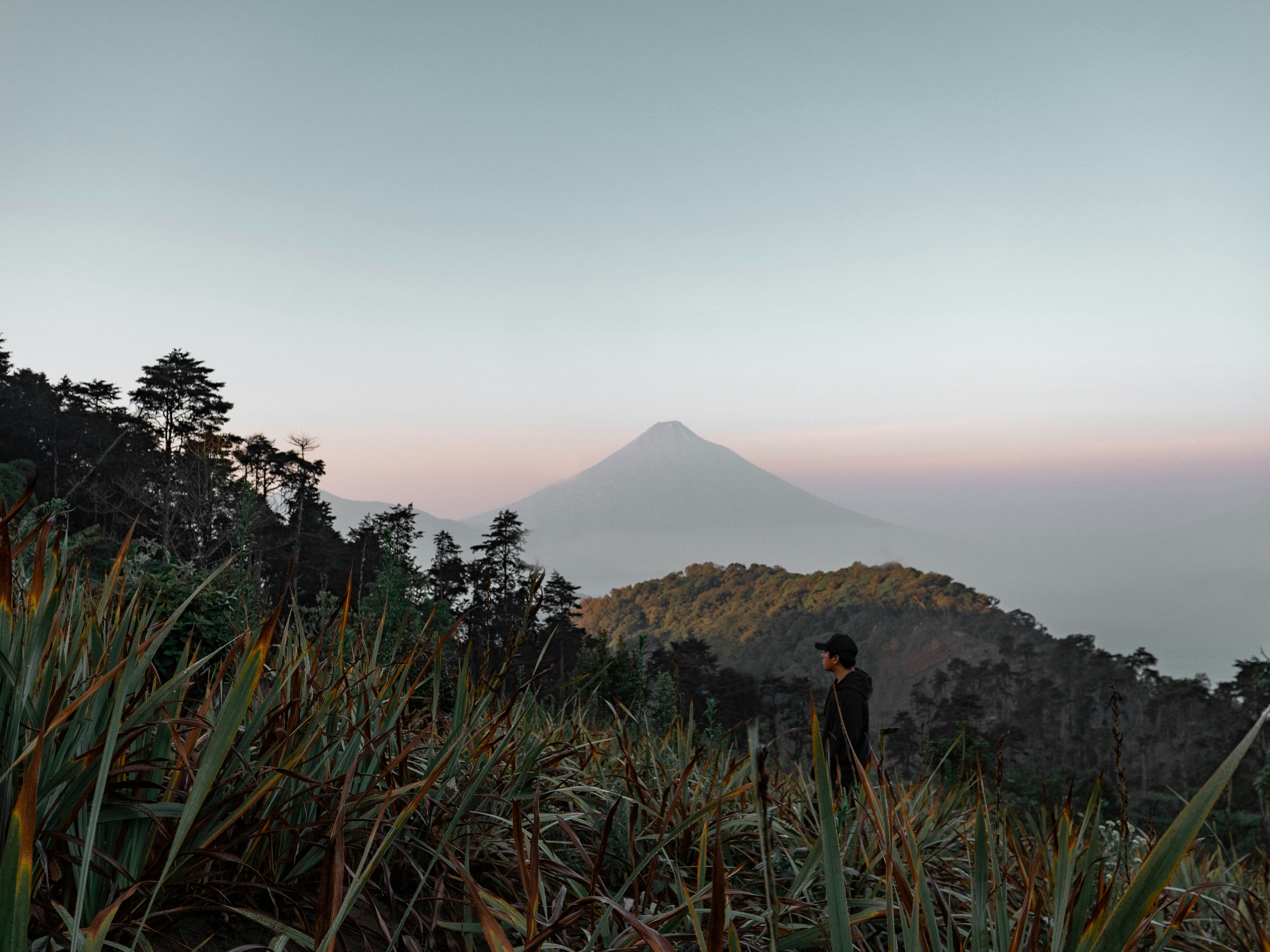 Photo by robbieherrera