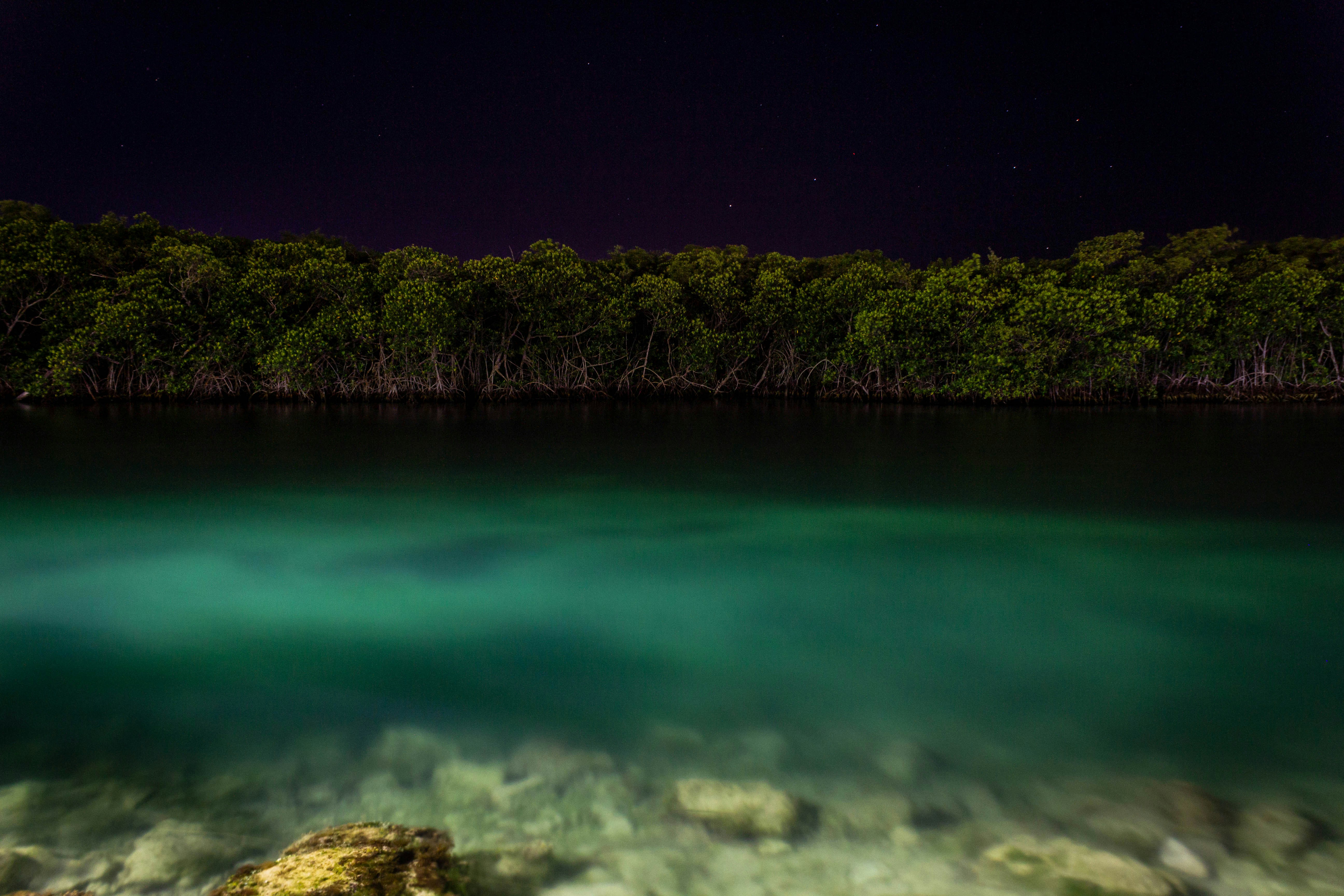 Featured image of post WSL