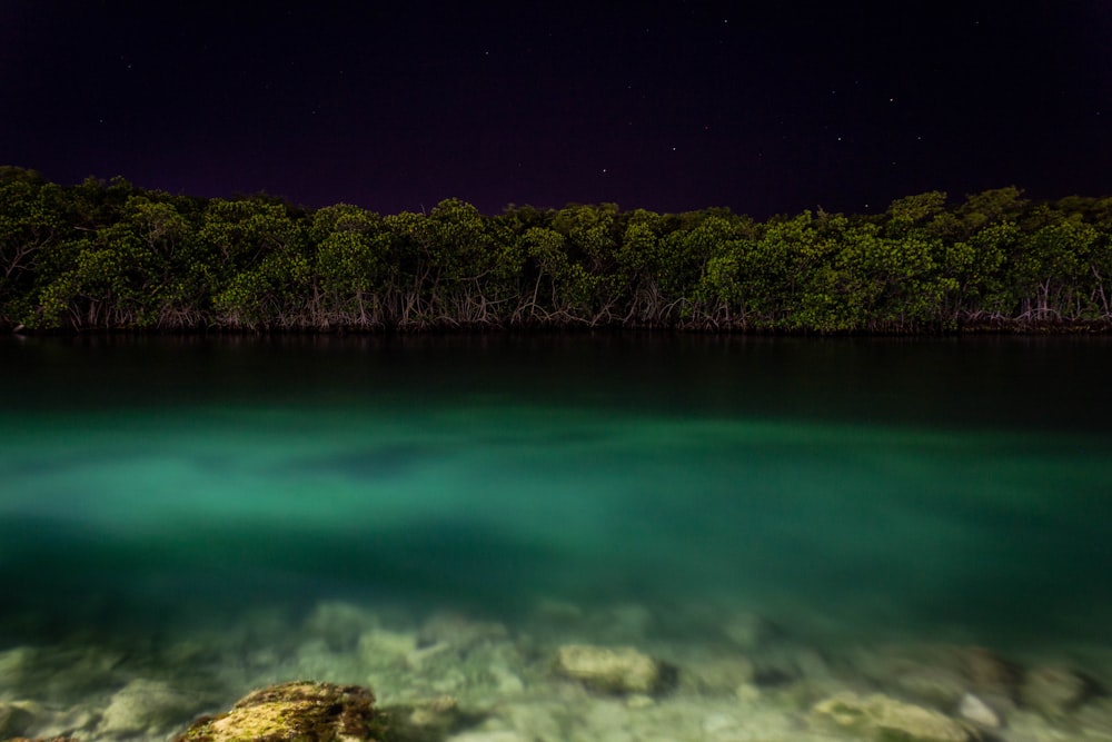 body of water beside trees during nighttime
