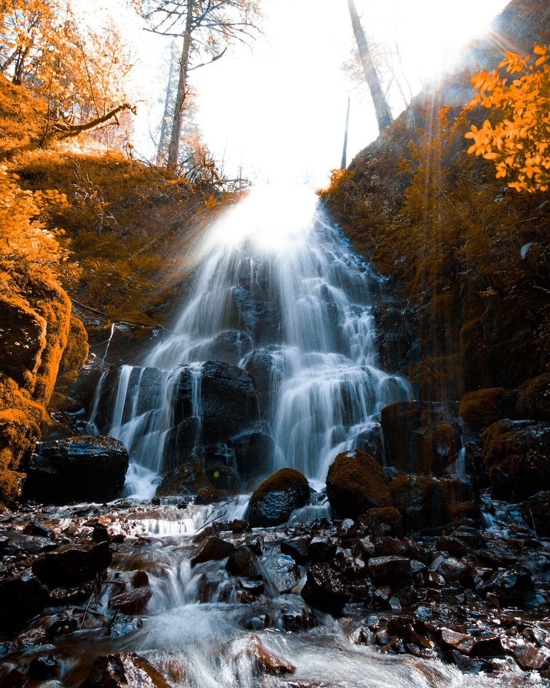 waterfall surrounded by trees during daytime