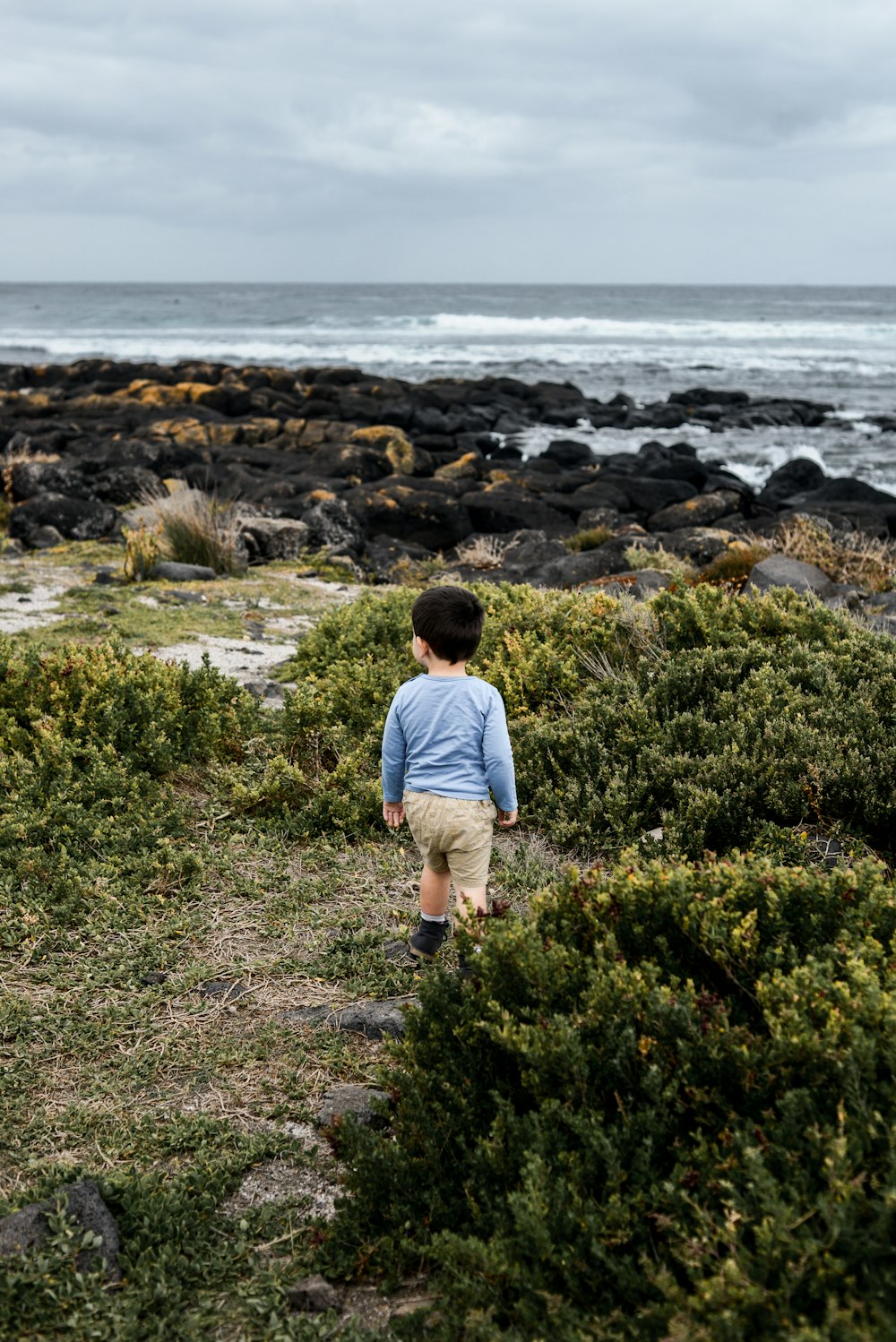 niño pequeño de pie en la hierba junto a los arbustos cerca del océano