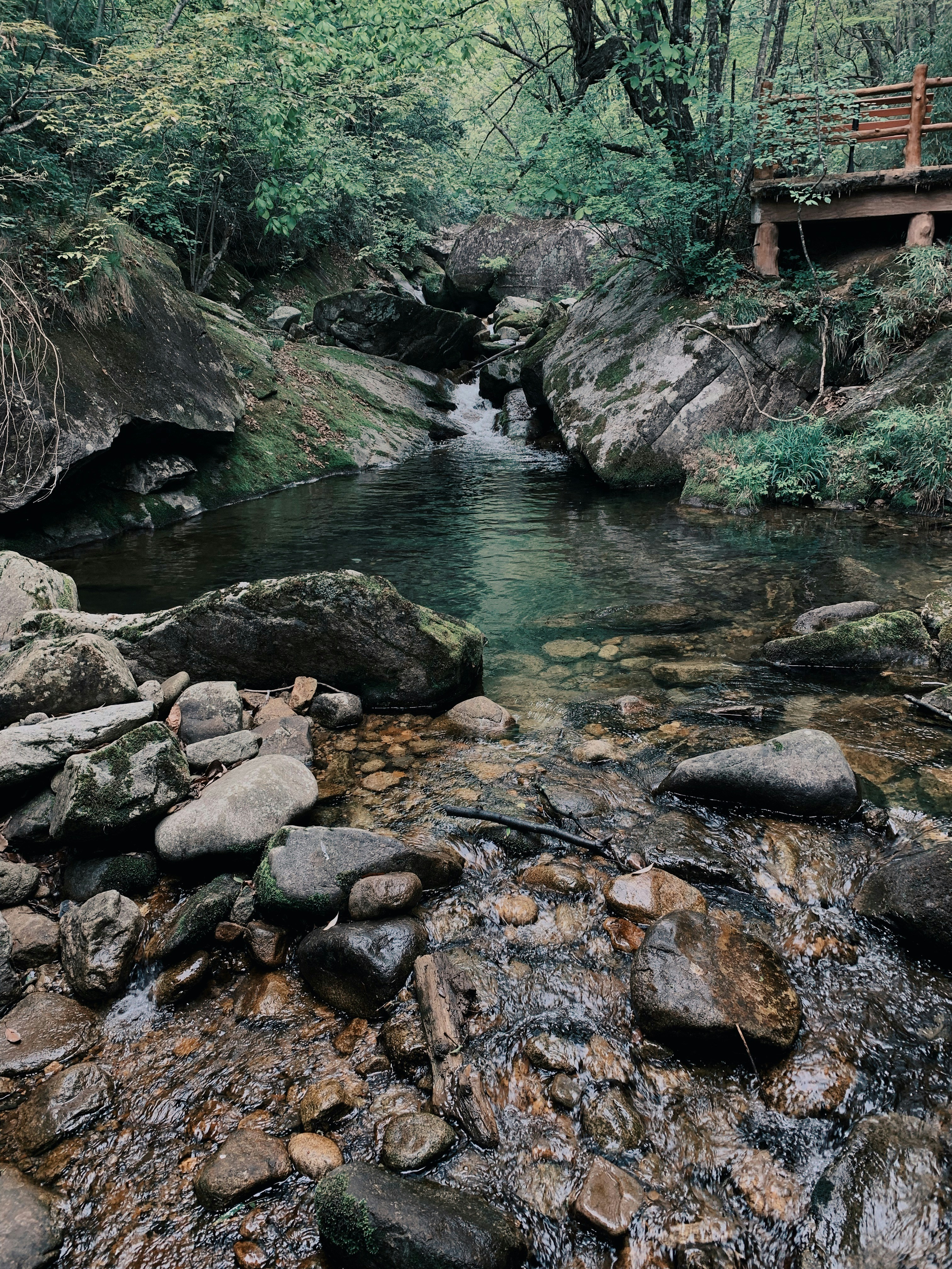 Photo by photohunter