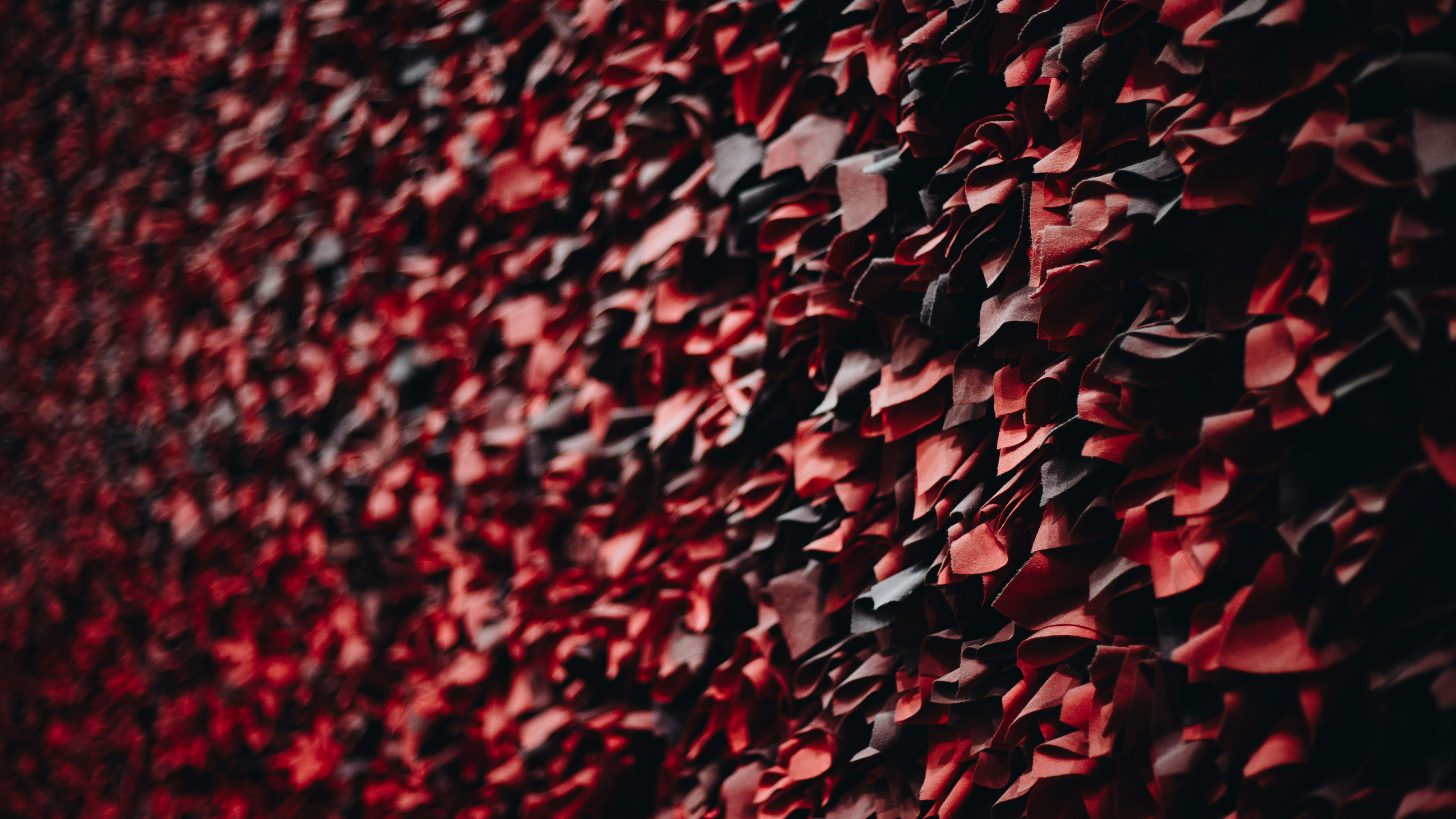 Photo by isaacbenhesed