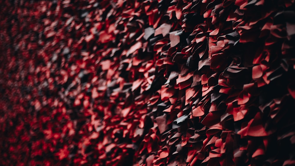 closeup photo of red and gray fleece textile