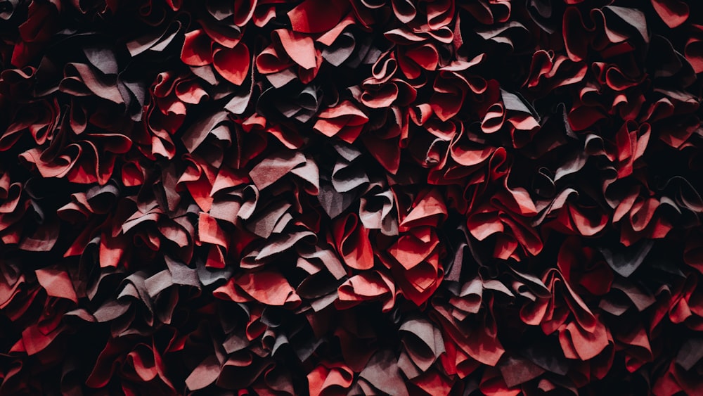 red and black paper wall