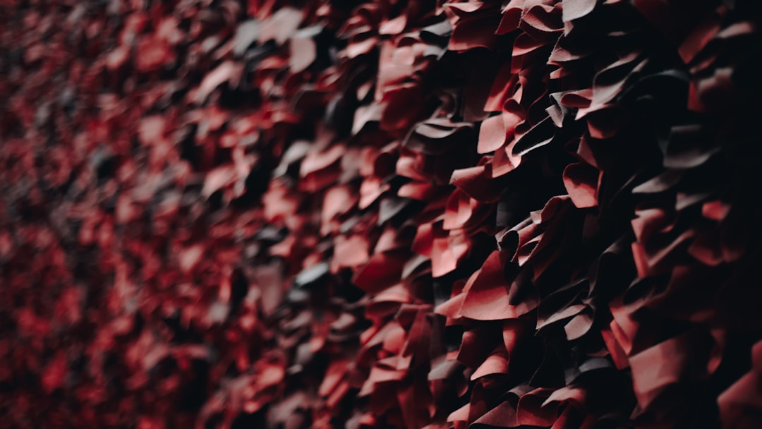 red and black wall close-up photo