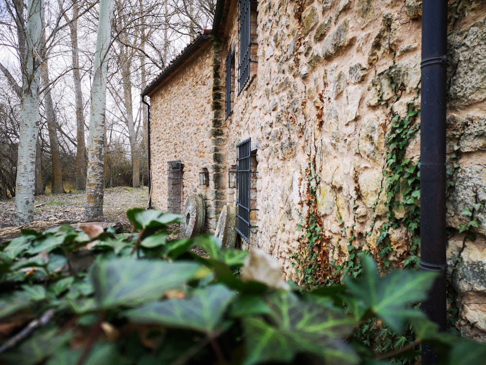 building near trees during day