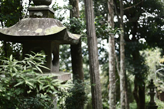 A serene moss-covered stone lantern along a quiet Kamakura temple path under soft morning light.