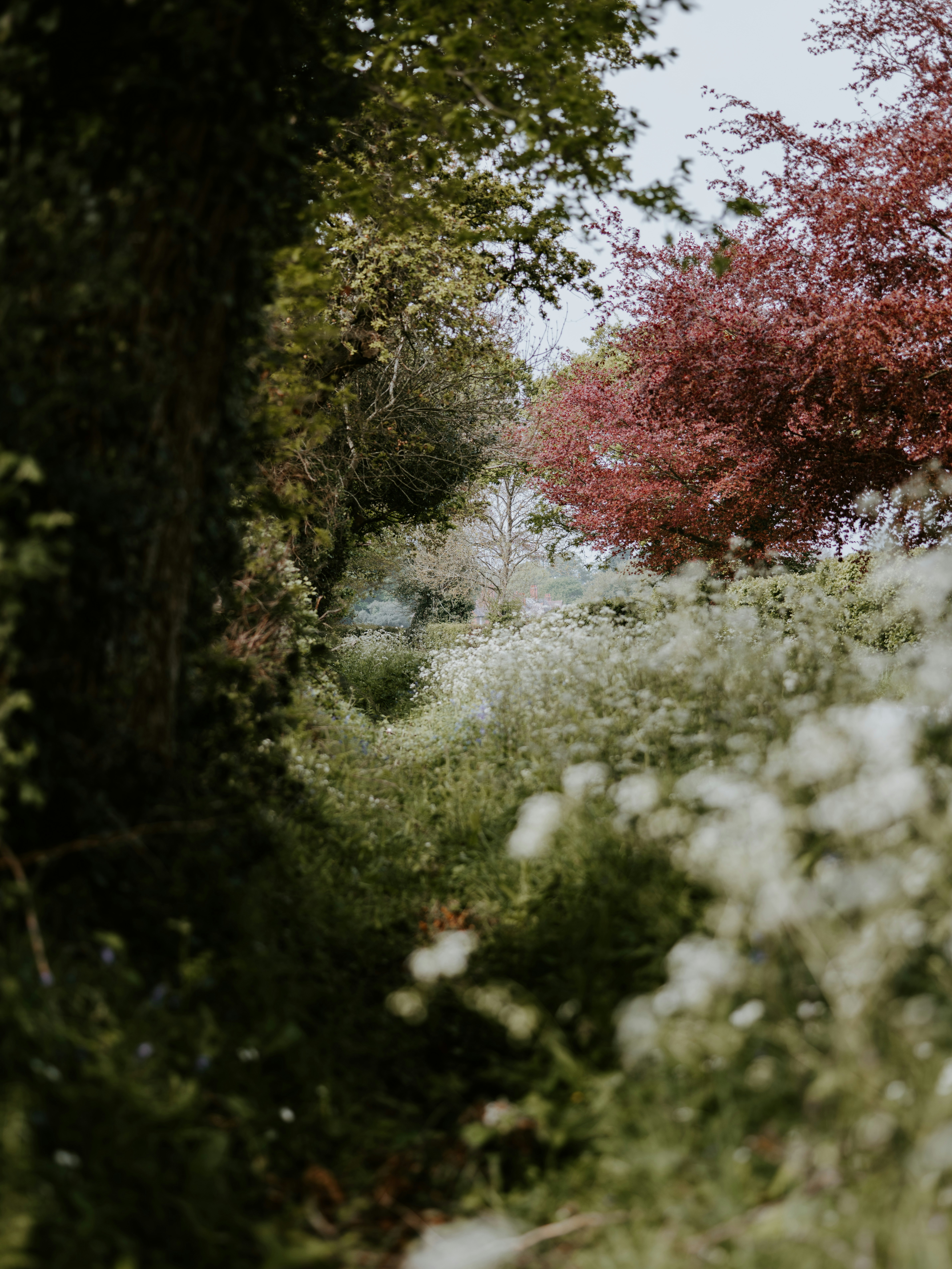 Photo by anniespratt