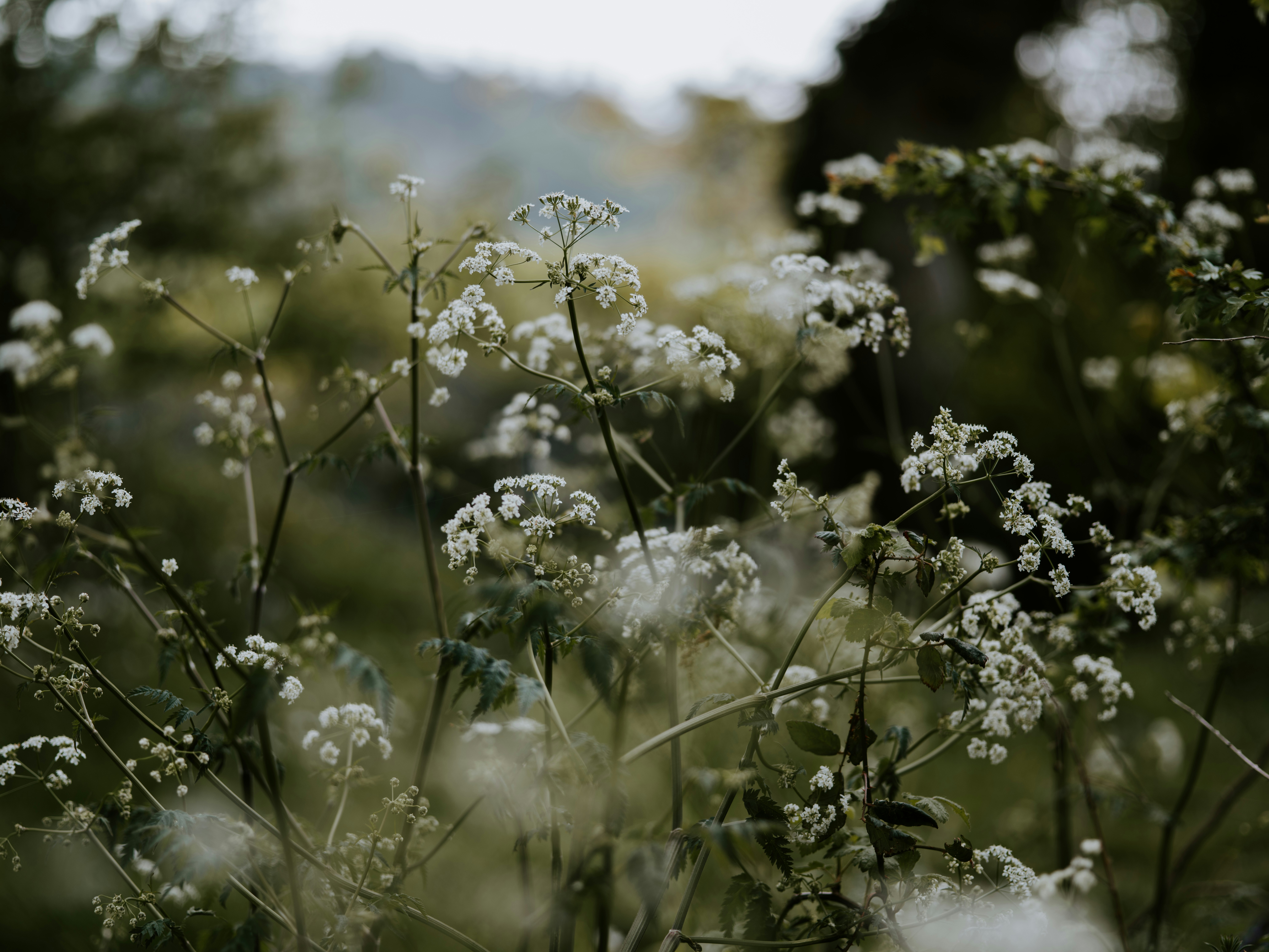 Photo by anniespratt