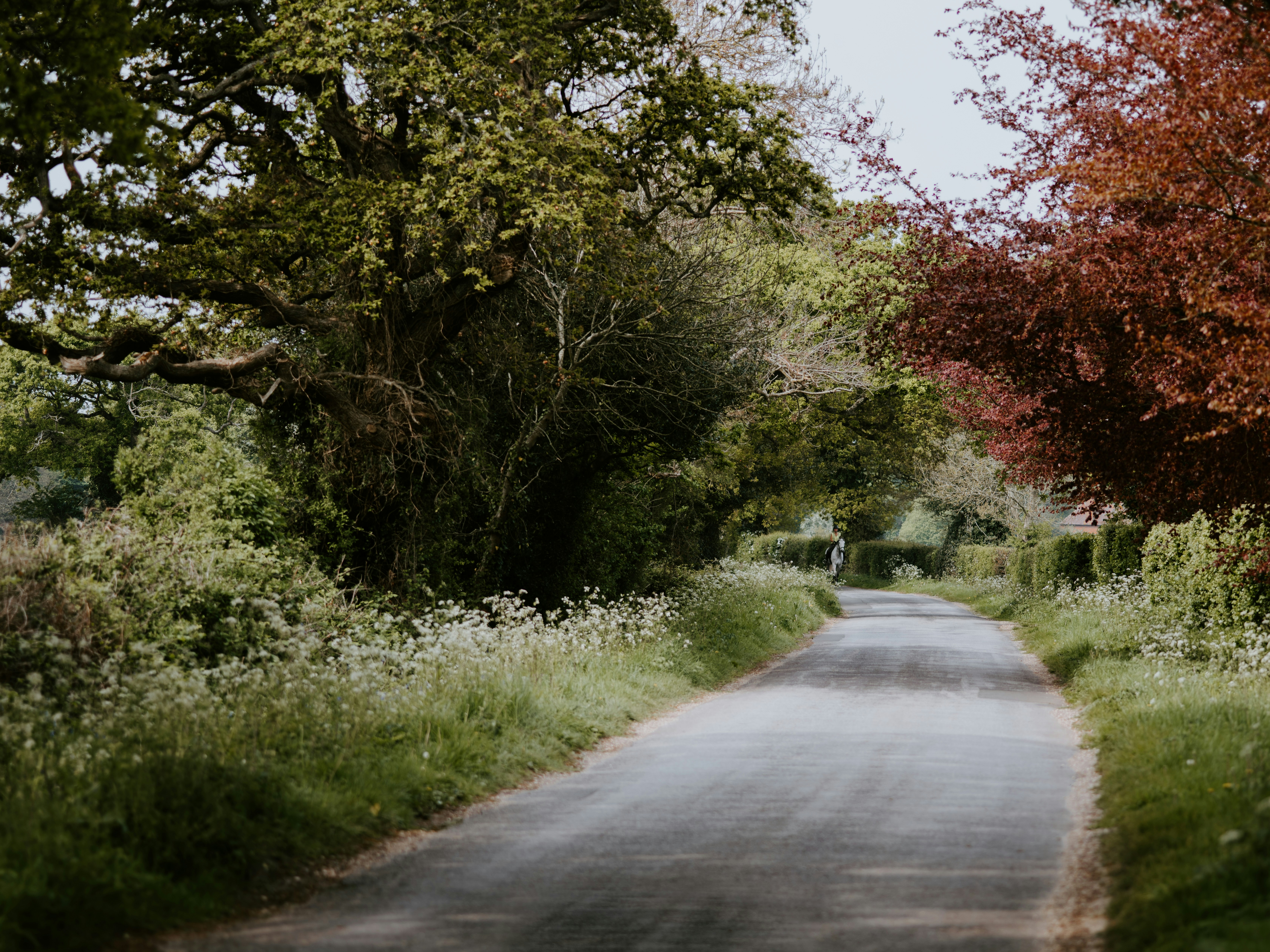 Photo by anniespratt